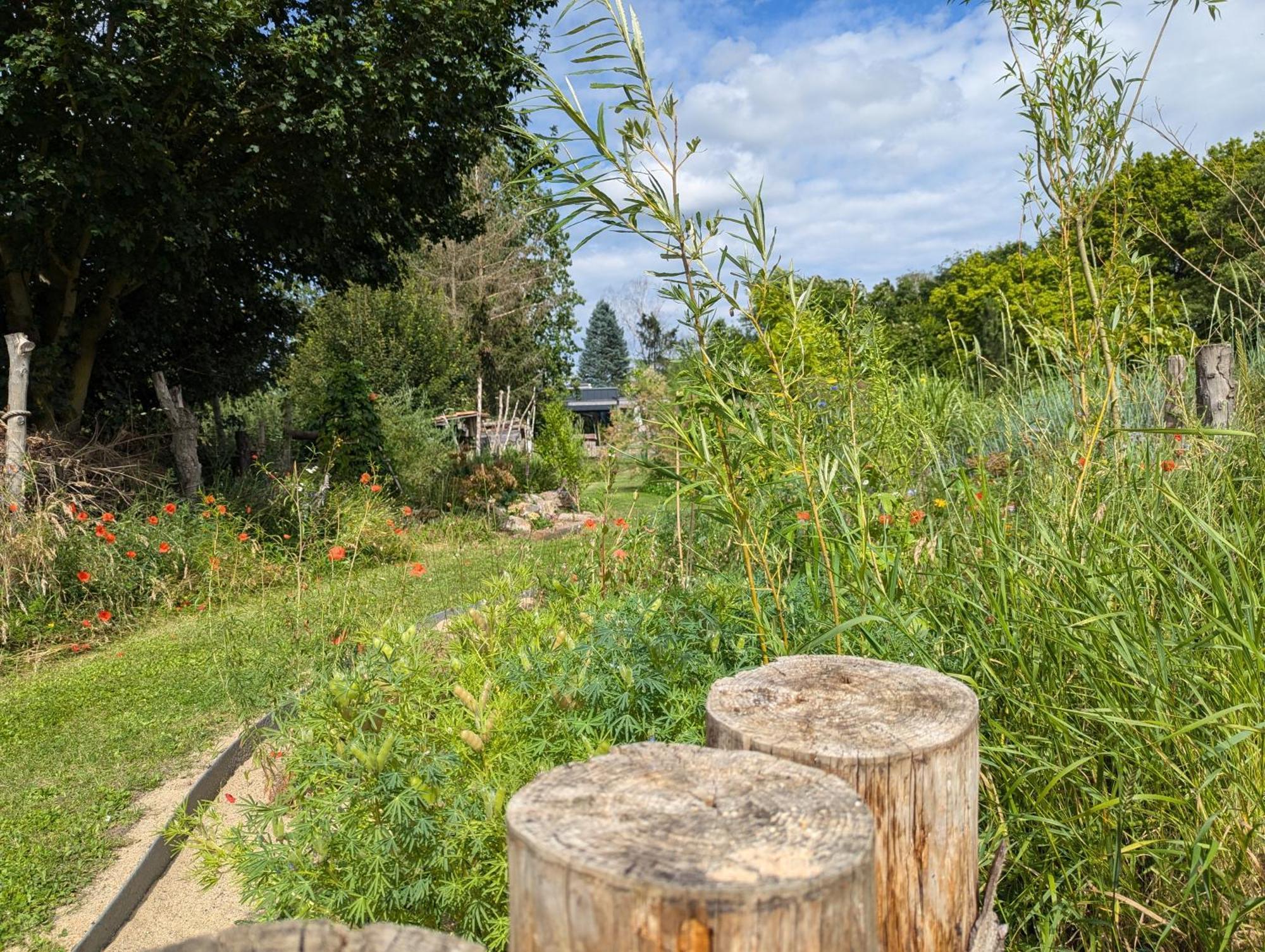 Ferienhaus Naturwerk Schwarzach am Main Eksteriør billede
